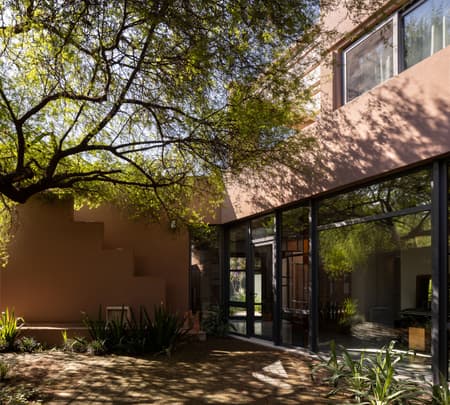 House around the Tree